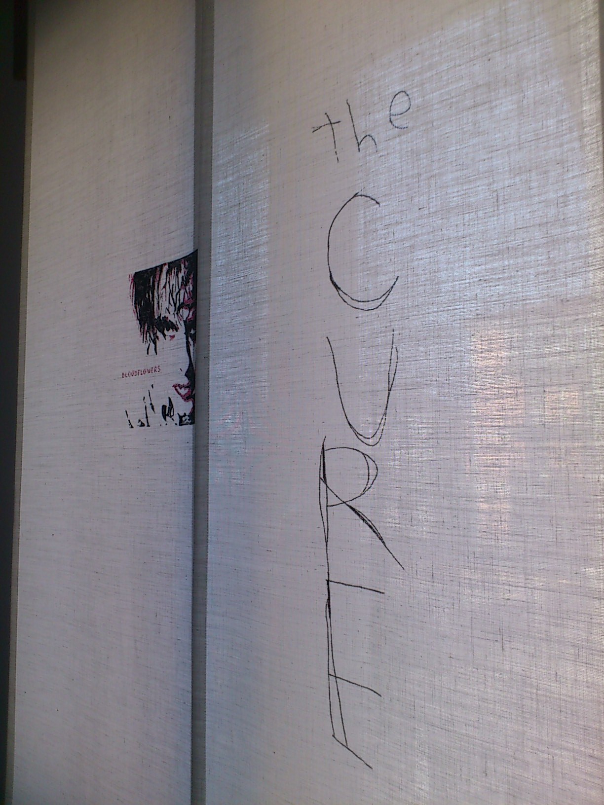 negozio tende verona, tenda a pannelli scorrevoli dipinta a mano "omaggio a Robert Smith - The Cure, tende da interni verona arredamento mariano